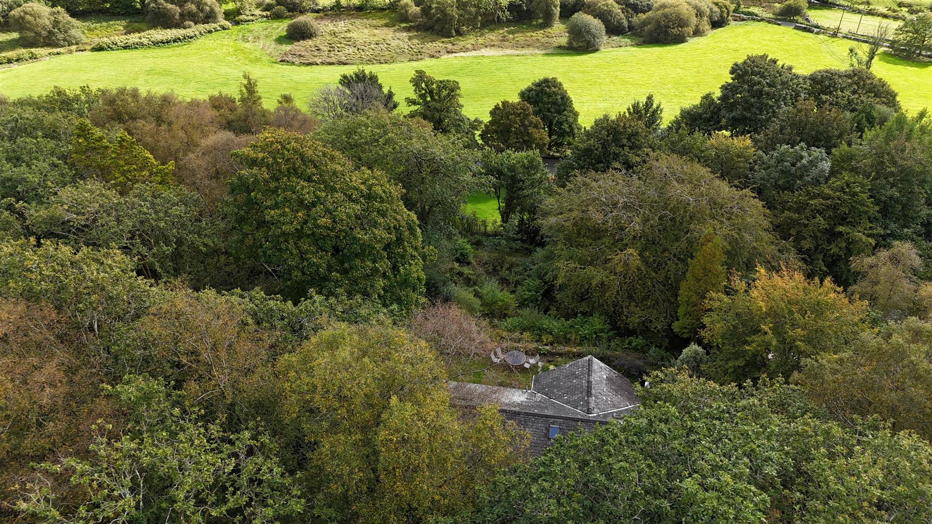 DJI_20260924142157_0047_D.JPG